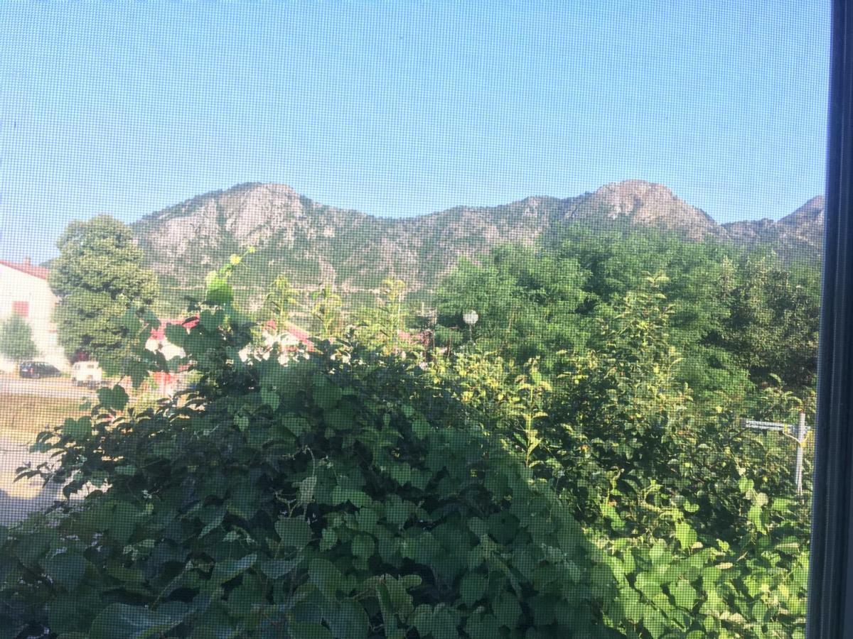 Honey Farm House Virpazar Luaran gambar