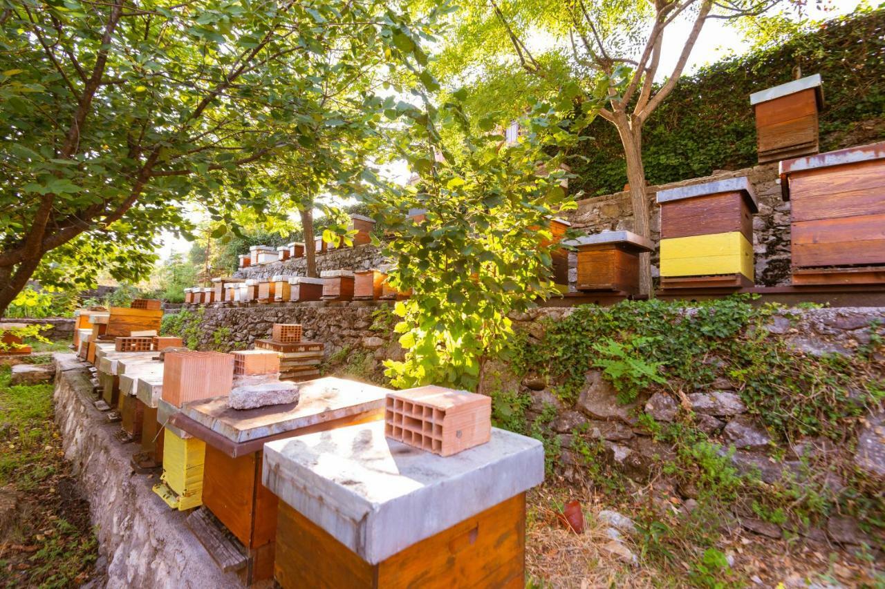 Honey Farm House Virpazar Luaran gambar