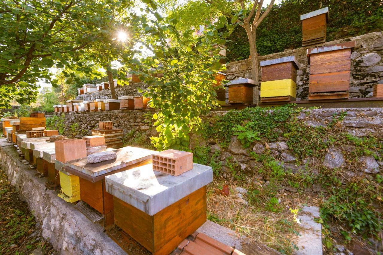 Honey Farm House Virpazar Luaran gambar
