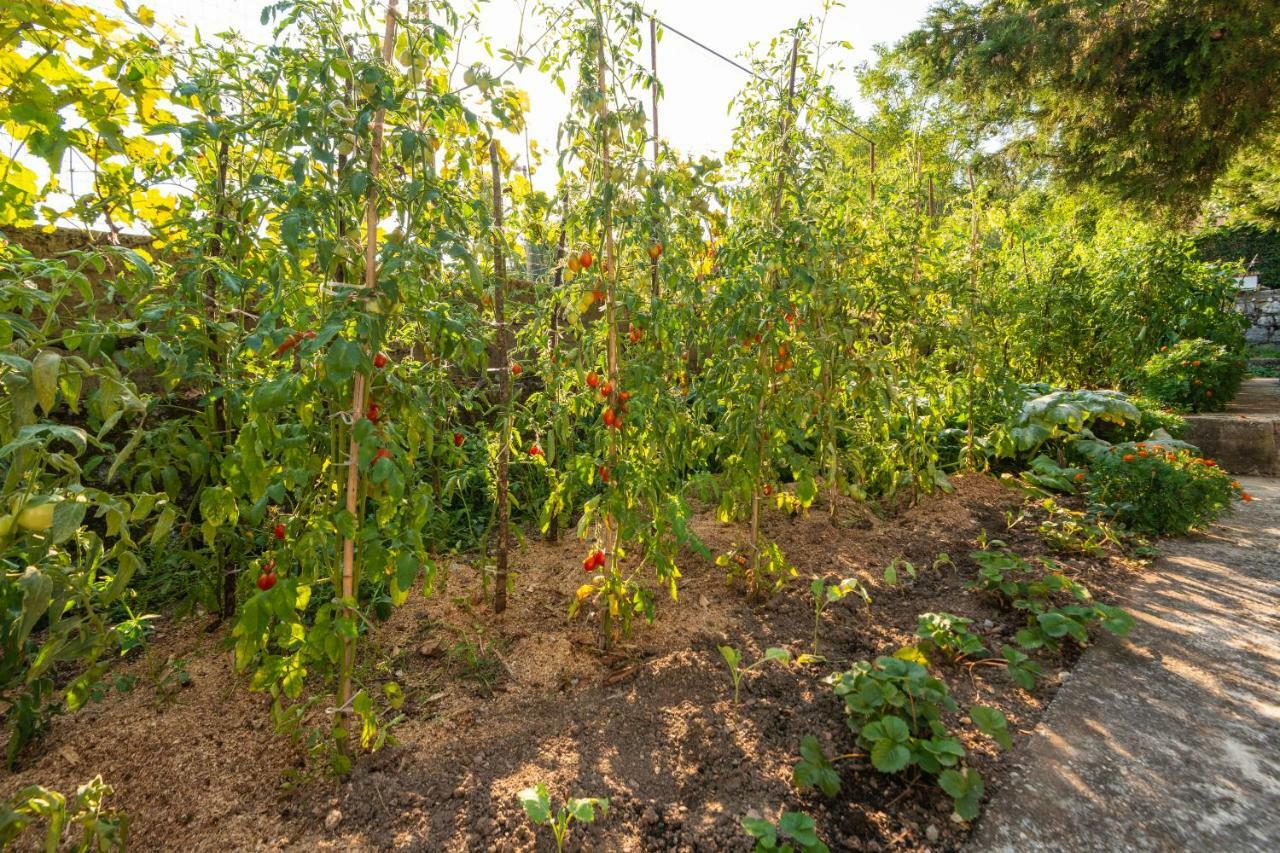 Honey Farm House Virpazar Luaran gambar